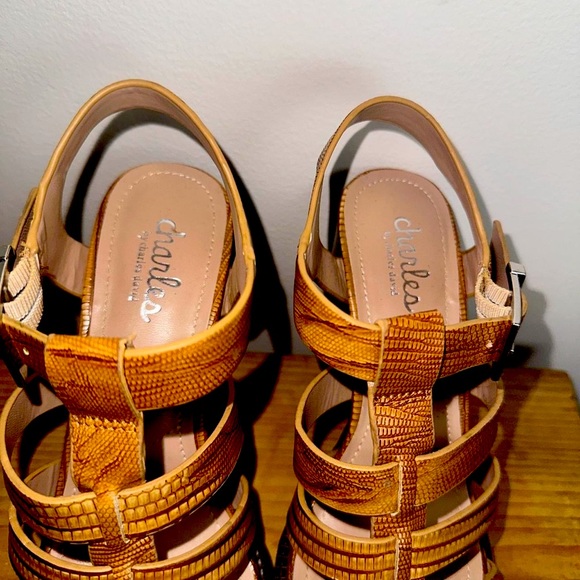 Charles David Chunky Y2K Heel Sandals (6M) - Picture 3 of 8